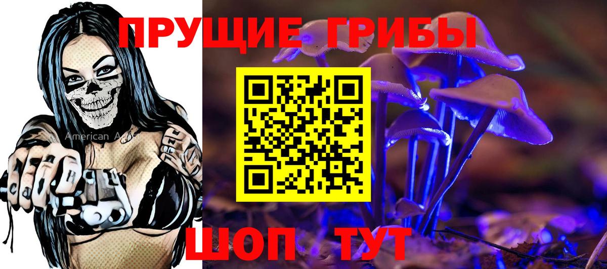 Гурьевск  Псилоцибиновые грибы Psilocybine cubensis  Галлюциногенные грибы Cubensis  Вход с VPN 